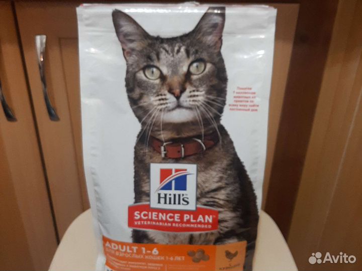 Сухой корм для кошек