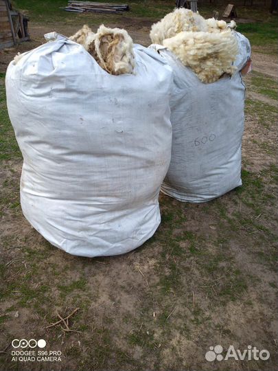 Продам шерсть овечью