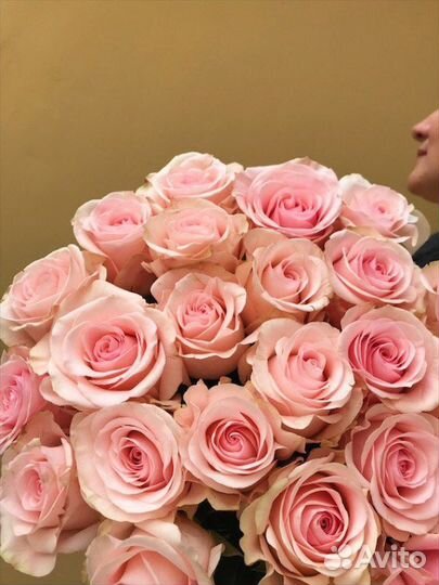 Розы Цветы Букет Доставка