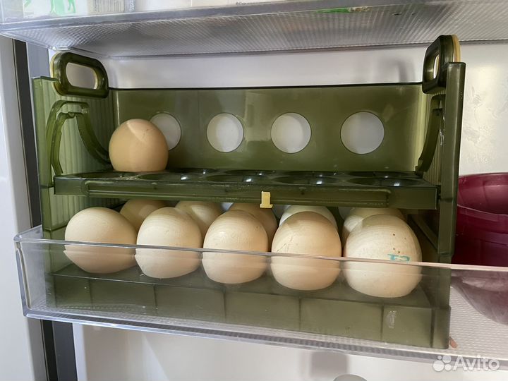 Контейнер для 20 яиц в полку холодильника