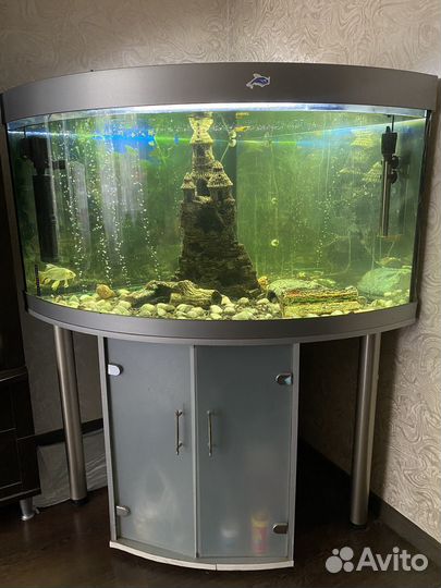 Аквариум с тумбой juwel 350 л