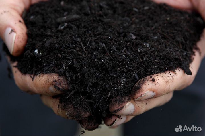 Земля плодородная