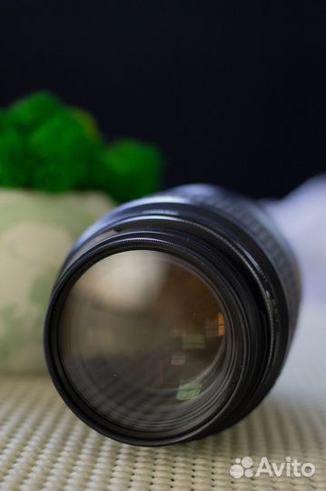 Объектив Canon EF 100mm f/2.8 Macro USM