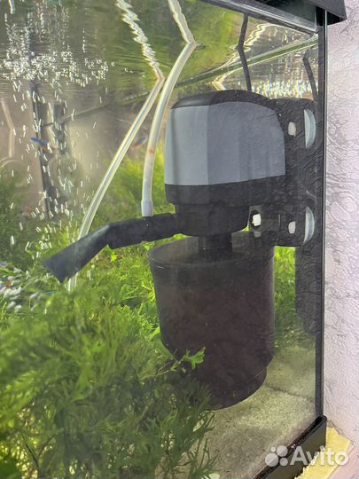 Аквариум польский, полный комплект, 55 литров