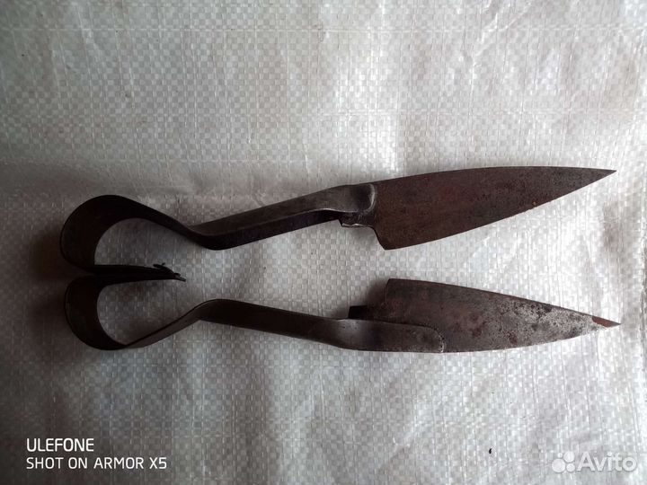 Ножницы для стрижки овец
