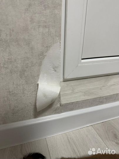 Аренда Сибы