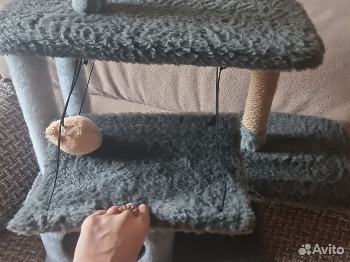 Когтеточка,домик,лежанка