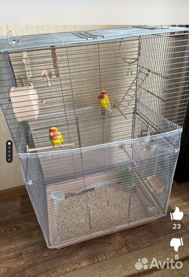 Клетка для попугая