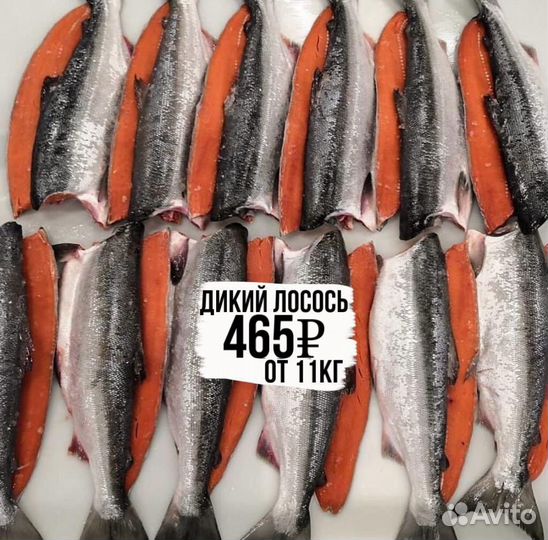 Дикий лосось экспорт