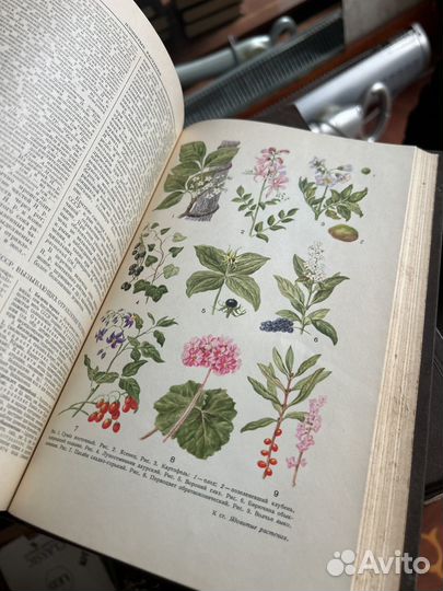 Бмэ, большая медейинская энциклопедия 36 томов