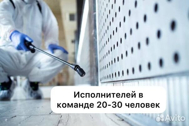 Уничтожим всех грызунов