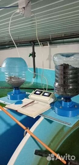 Рыбное хобби