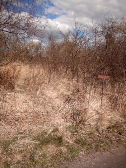 Участок 6 сот. (СНТ, ДНП)