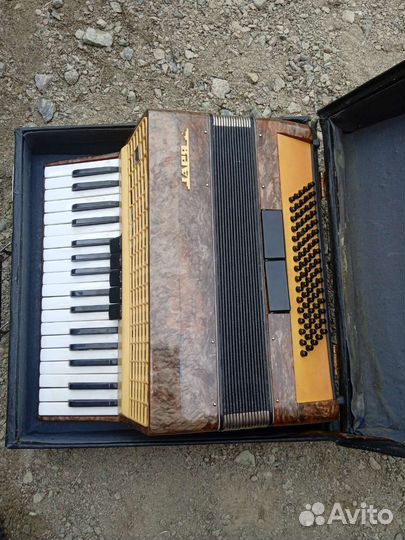 Аккордеон заря2