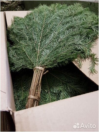 Веник для бани. Еловый. Пихтовый. Сосновый