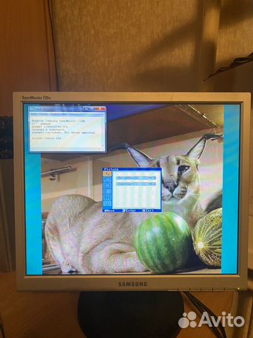 Монитор Samsung SuncMaster 720N 17 дюймов