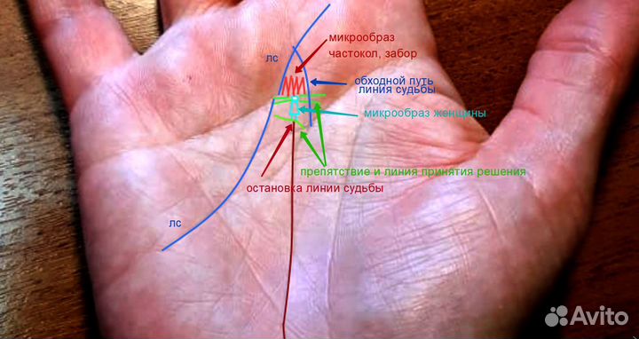 Хиромант, гадание по фото онлайн, большой опыт