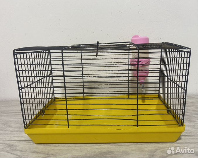 Клетка, переноска для грызунов