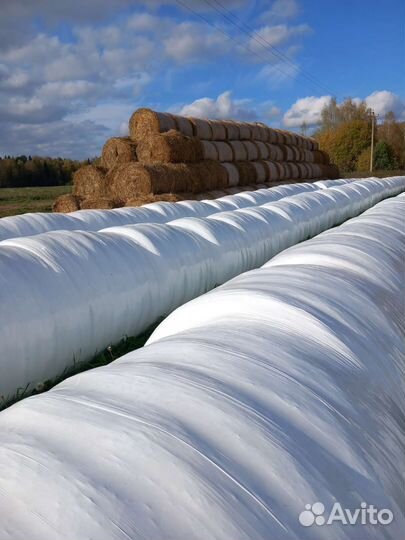 Салома в рулоннах