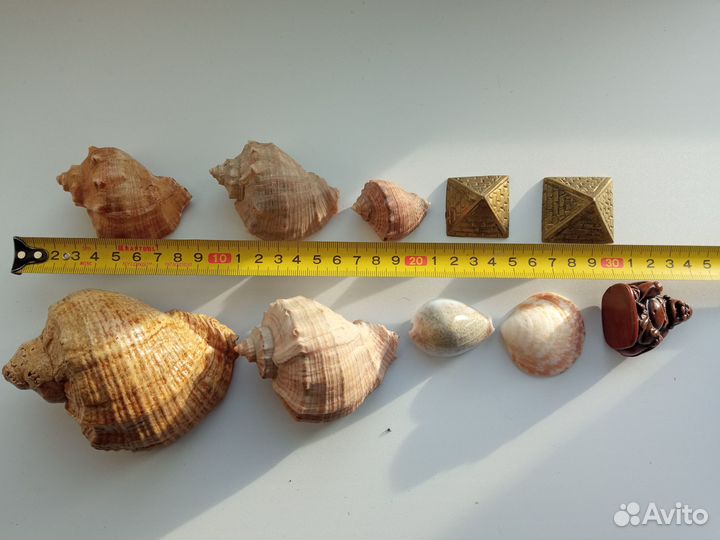 Сувениры ракушки и пр