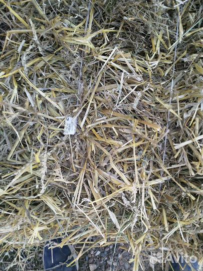 Сено, солома