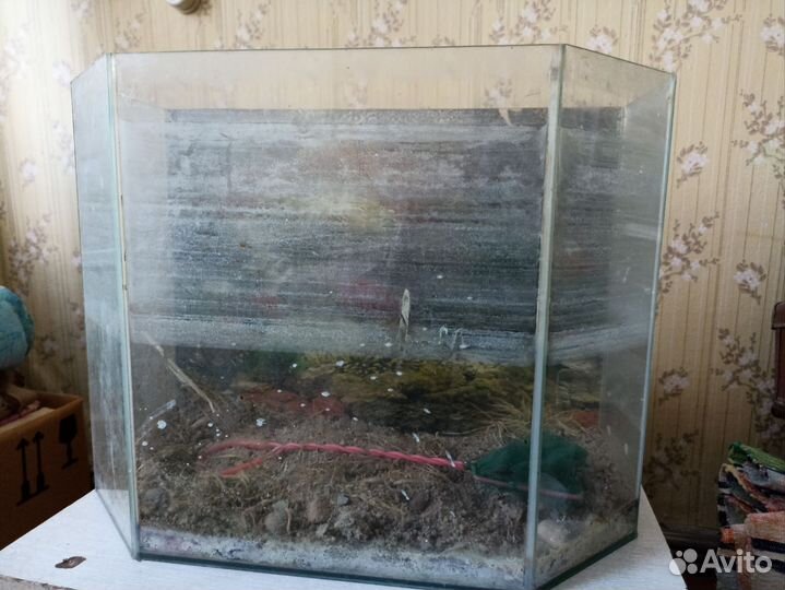 Аквариум