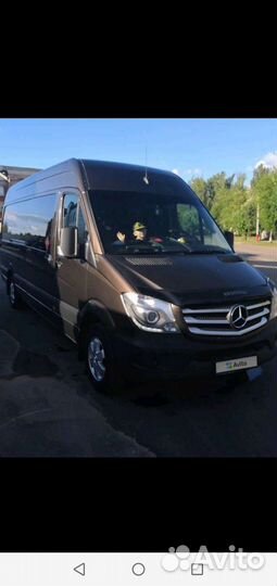 Поездки на море.Пассажирские перевозки