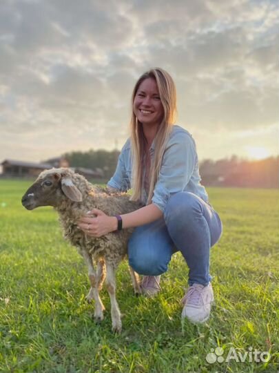 Фотосессия с животными на ранчо