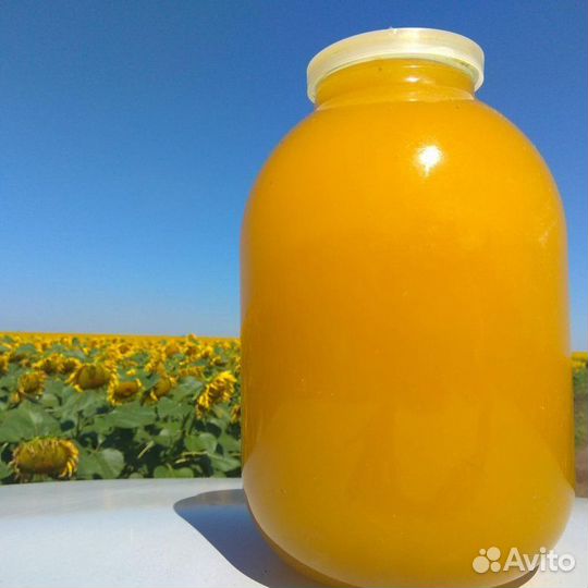 Мед подсолнечный (подсолнух)
