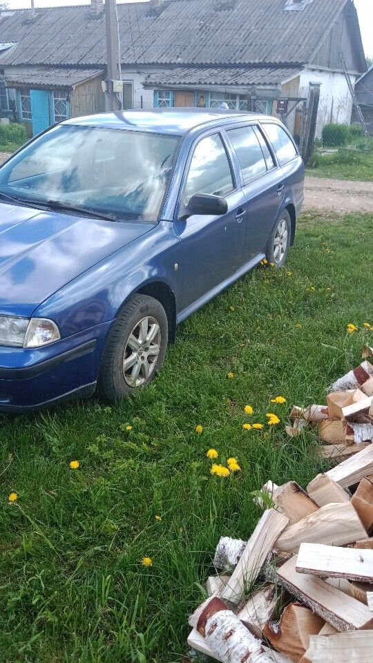 Skoda Octavia: фото владельца
