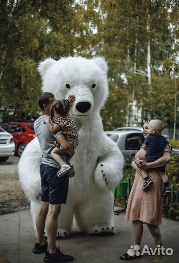 Ростовые медведи(Белый медведь и тедди)
