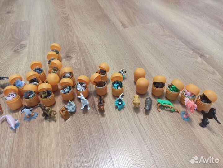 Киндер натунс 21-22