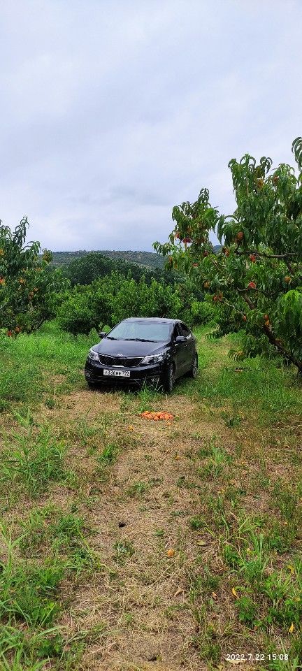 Kia Rio: фото владельца