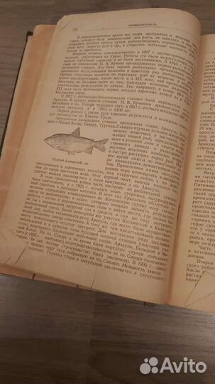 Челябинск. Книга, антиквариат. Коллекция. 1923г