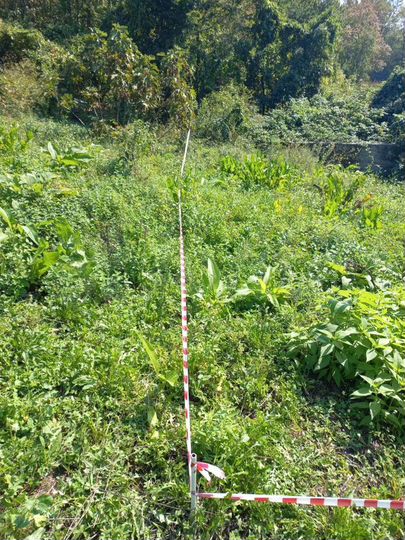 Участок 7 сот. (ИЖС)