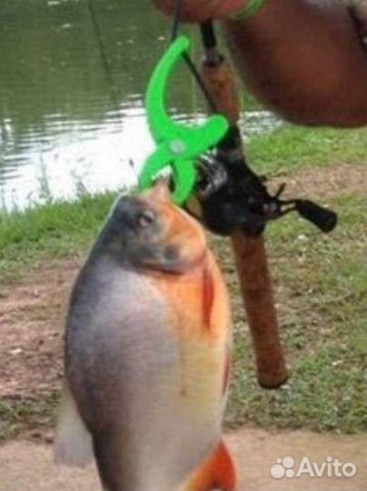 Захват для рыбы (липгрип)