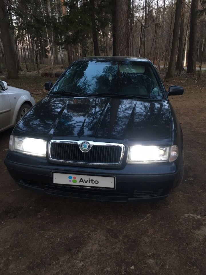 Skoda Octavia: фото владельца
