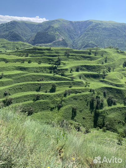Путешествие по Дагестану