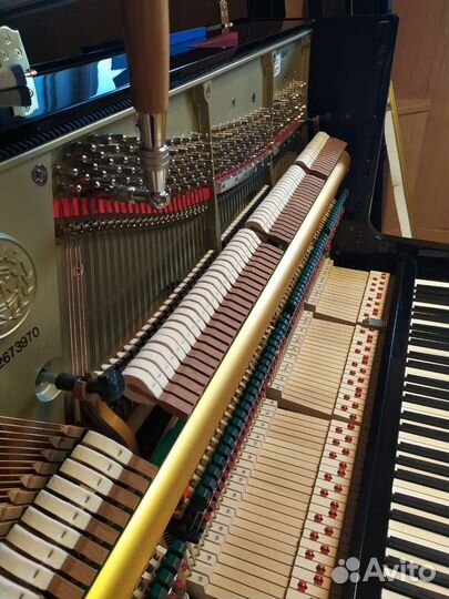 Настройка пианино и рояля