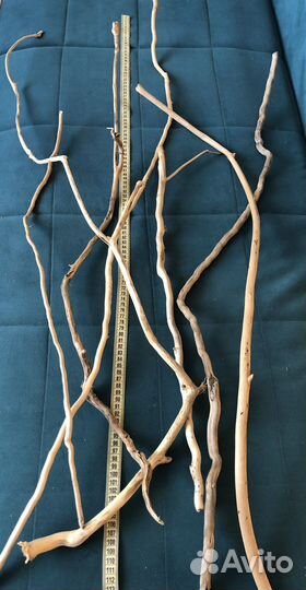 Морские палочки, коряжки, дрифтвуд