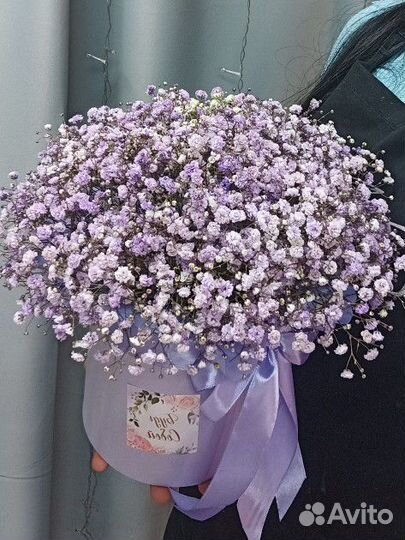 Букет из гипсофилы в коробке