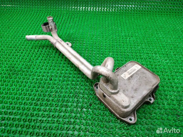 Радиатор масляный Volkswagen Golf Plus 5 caxa 2012