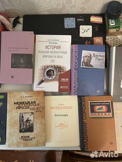 Книги: Сорокин, Лимонов, Селин и другие