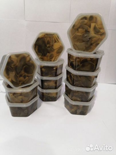 Моховик маринованный