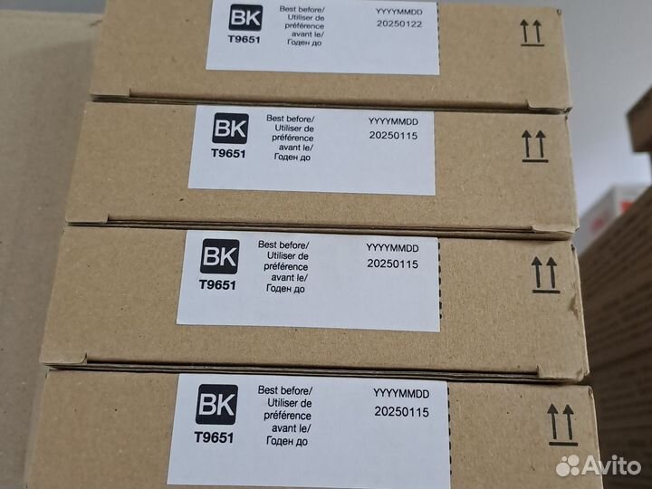 Картридж Epson T9651