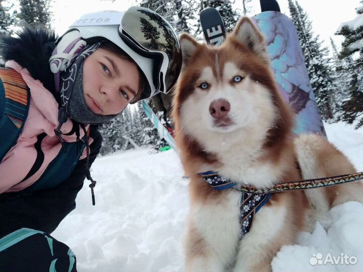 Маска для сноуборда