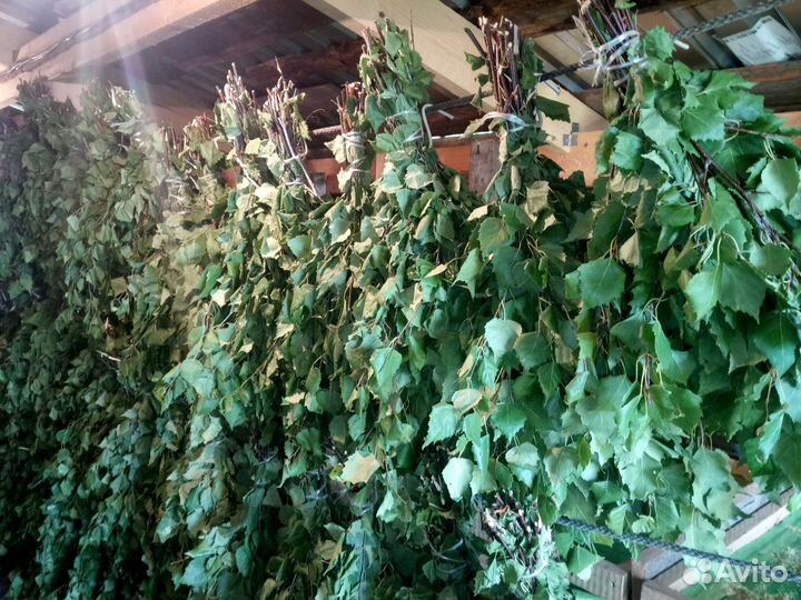 Березовые Веники для бани