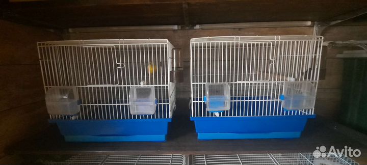 Клетки для канареек