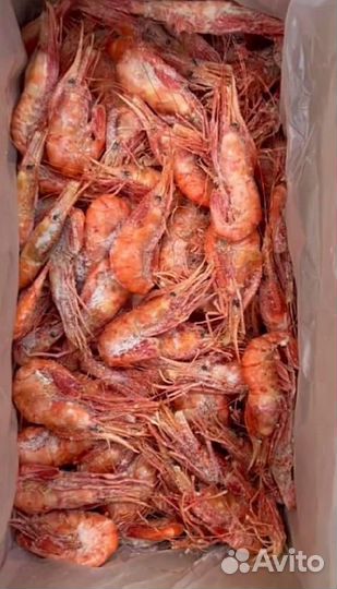 Креветка Ботан