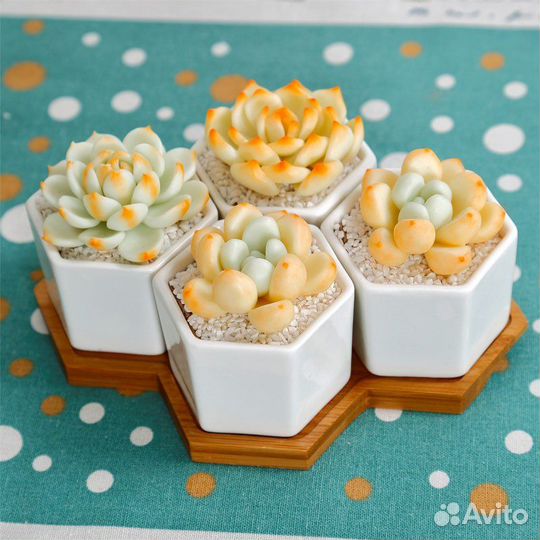 Горшки под суккуленты с отверстием